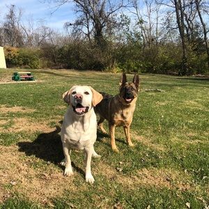 Meet your Posher, Cody